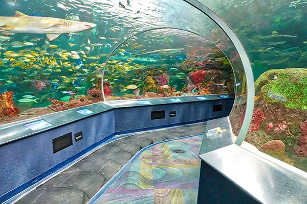 リプリーズ水族館