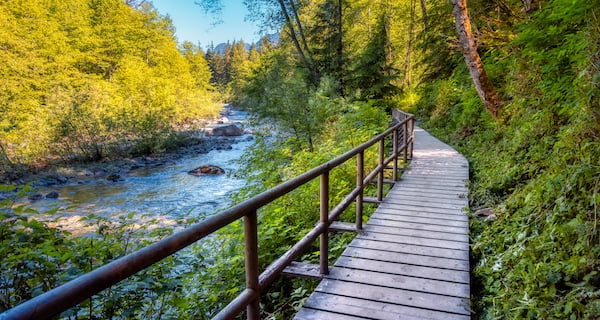 リンキャニオンパーク