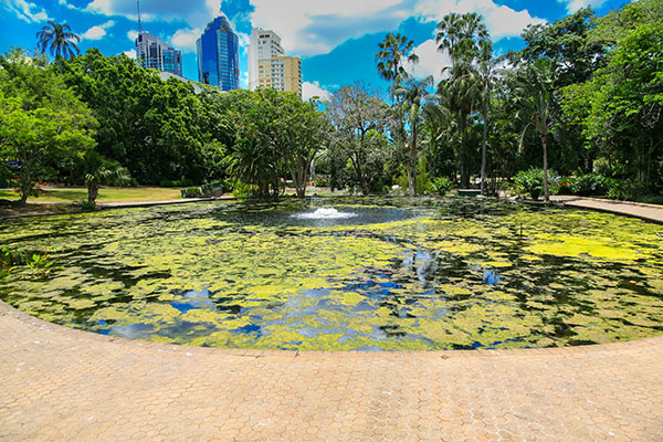 シティ・ボタニックガーデン