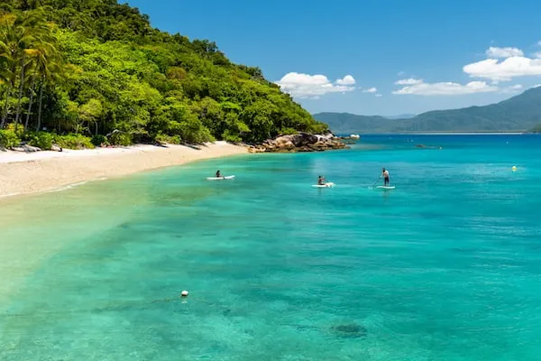 フィッツロイ島