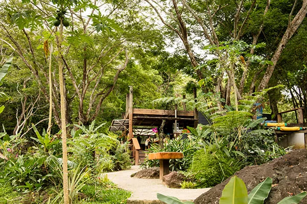 スリーピング・ジャイアント植物園