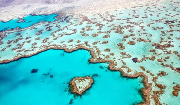 グレートバリアリーフ