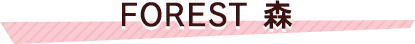 FOREST 森