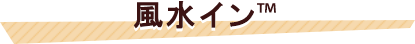 風水インTM