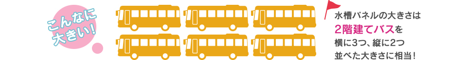 水槽パネルの大きさは2階建てバスを横に3つ、縦に2つ並べた大きさに相当!