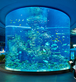 (イメージ)コーラルガーデン