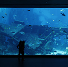 (イメージ)難破船