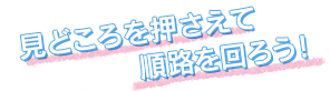 見どころを抑えて順路を回ろう!