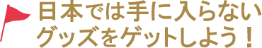 日本では手に入らないグッズをゲットしよう!