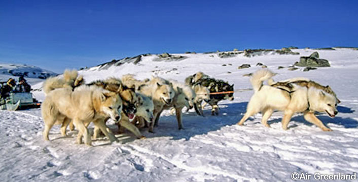 犬ぞり(イメージ)