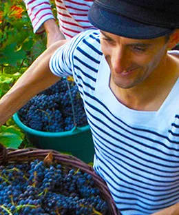 モンマルトル収穫祭（イメージ）