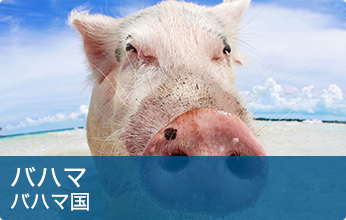 バハマ