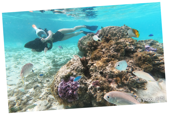 シュノーケリング(イメージ)