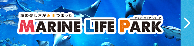 マリン・ライフ・パーク