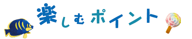 楽しむポイント