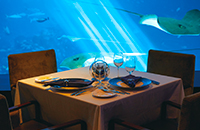 オーシャンレストラン（イメージ）