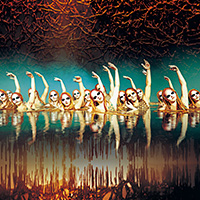 ショー　イメージ