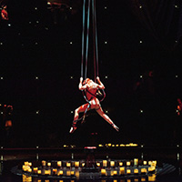 ショー　イメージ