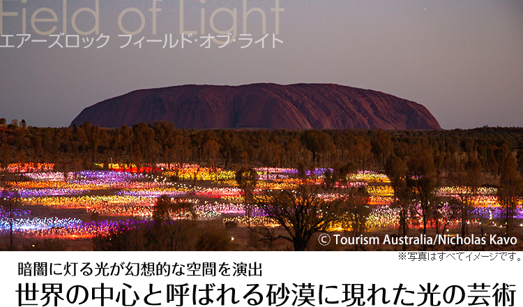 暗闇に灯る光が幻想的な空間を演出 世界の中心と呼ばれる砂漠に現れた光の芸術