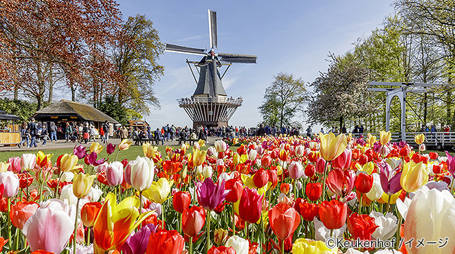 イメージ画像：世界最大のチューリップ公園（オランダ）