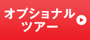 オプショナルツアー