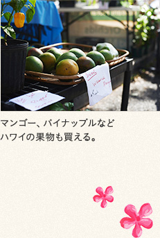 マンゴー、パイナップルなどハワイの果物も買える。