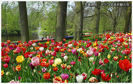 アムステルダム キューケンホフ公園 (オランダ)