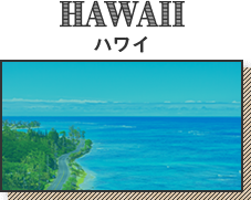 HAWAII ハワイ