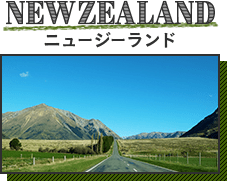NEWZEALAND ニュージーランド