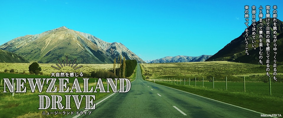 大自然を感じる NEWZEALAND DRIVE ニュージーランドドライブ 羊の群れを眺めながらゆっくり走るのも、窓を開けて自然の風を感じて走るのも、ふと停まって景色を楽しむのも、全部自分で決めていい。車の旅って、そういうこと。