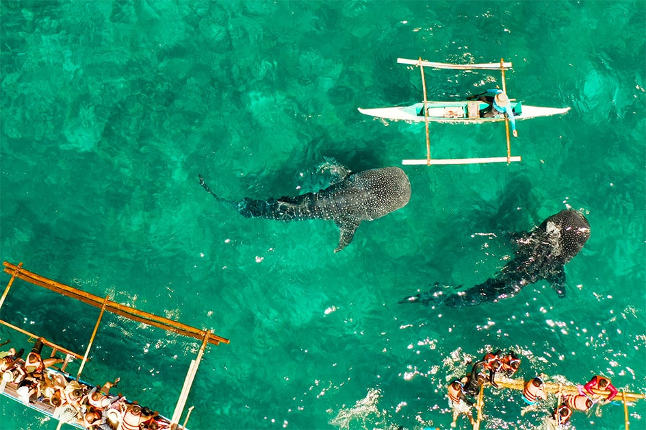 ビーチリゾート特集_セブ島