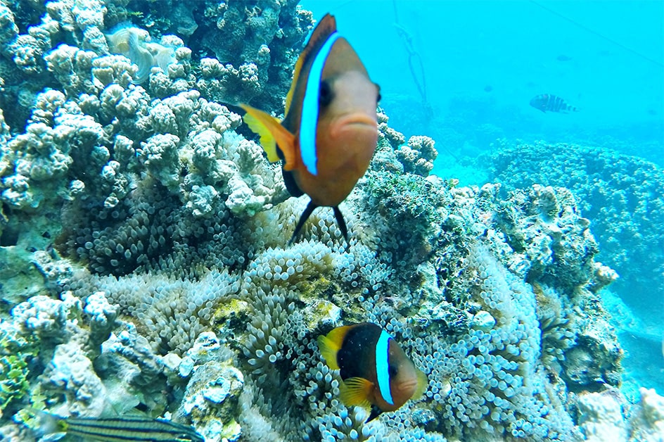 ビーチリゾート特集_グアム