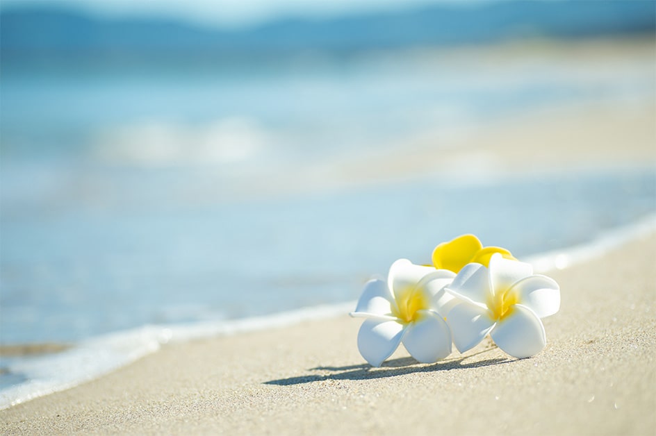 ビーチリゾート特集_ハワイ