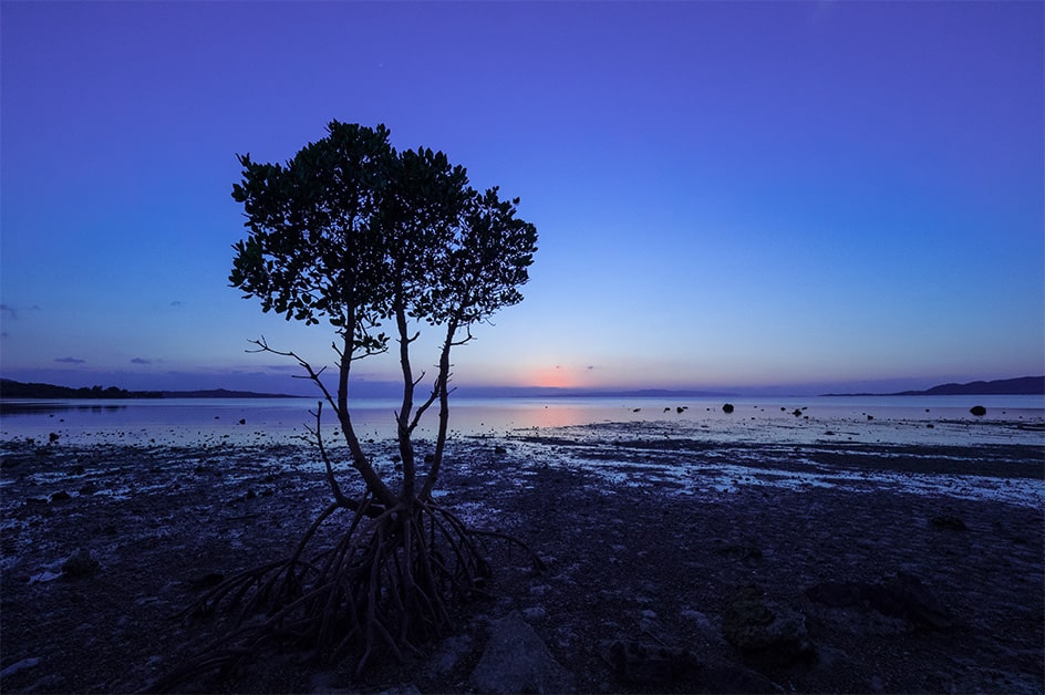 ビーチリゾート特集_石垣島