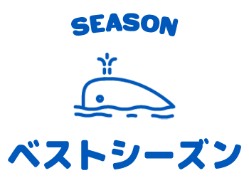 ベストシーズン_アイコン