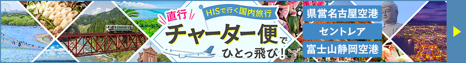 直行チャーター便特集