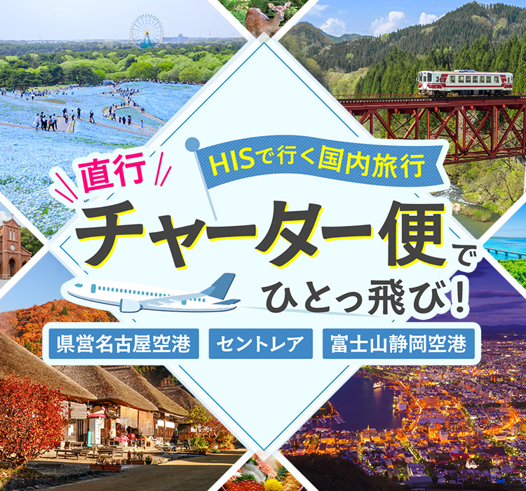 直行チャーター便で行く！国内旅行