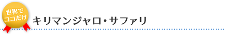 キリマンジャロ･サファリ