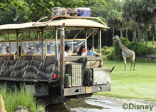 キリマンジャロ･サファリ