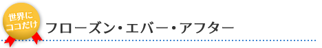 フローズン･エバー･アフター