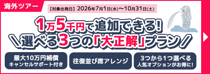 海外ツアー_大正解プラン