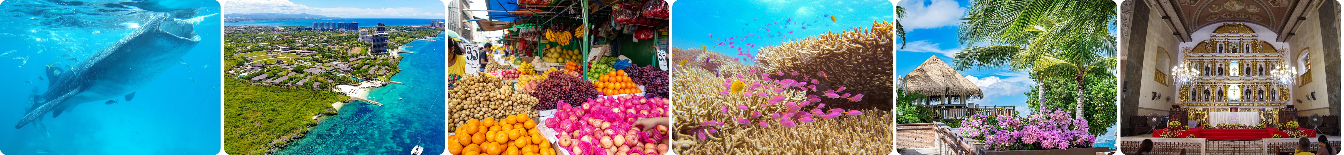 セブ島イメージ