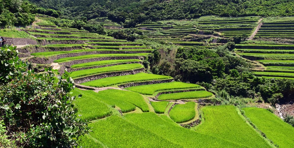 長崎と天草地方の潜伏キリシタン関連遺産