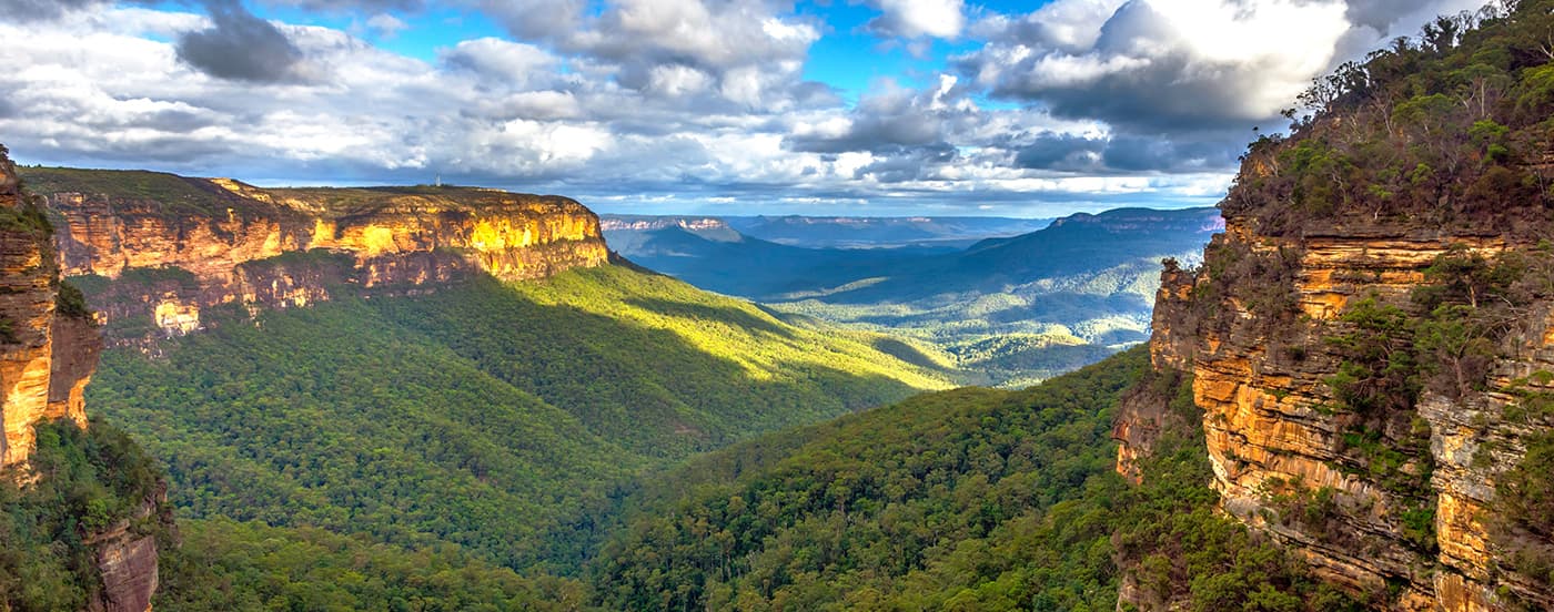 ブルーマウンテン Mr Sydney Tours | オージーガイドによる日本語ツアー | ブルー