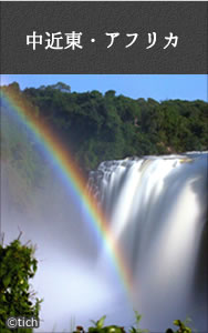 中近東・アフリカ