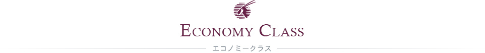 Economy class エコノミークラス
