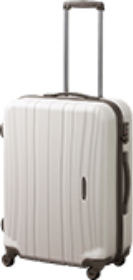 プロテカフラクティ Sサイズ