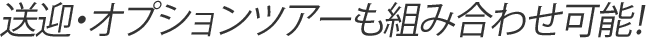 送迎・オプションツアーも組み合わせ可能!