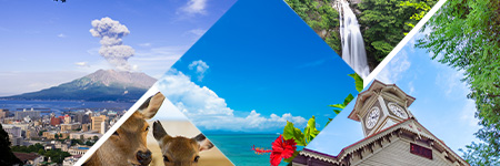 国内オンラインクーポン