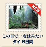 �^�C6����